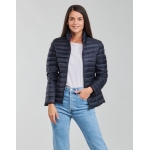 JOTT Cazadodoras de chica...