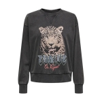 Only Sudaderas de chica...