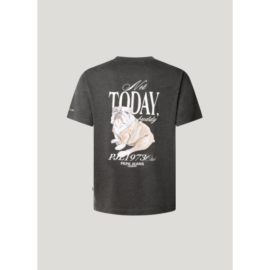 Pepe Jeans Camisetas de chico PM5010090 GRIS 2