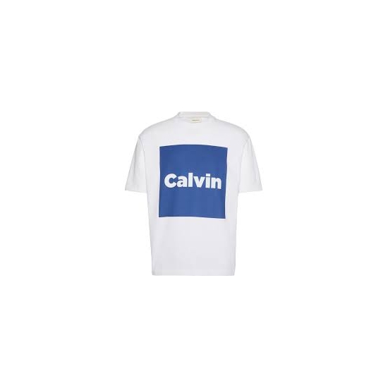 CALVIN KLEIN Camisetas de chico LV04RD813G BLANCO 2