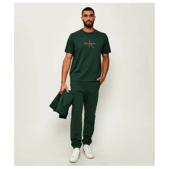 CALVIN KLEIN Camisetas de chico LV04RB862G VERDE 2