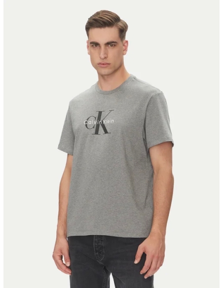 CALVIN KLEIN Camisetas de chico LV04RB862G GRIS