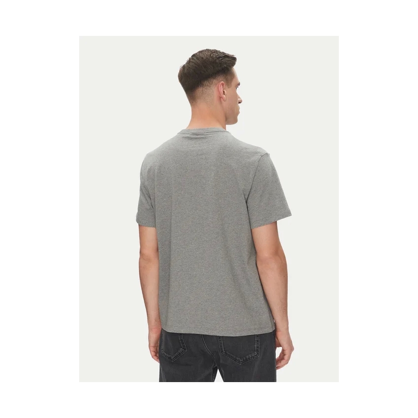 CALVIN KLEIN Camisetas de chico LV04RB862G GRIS